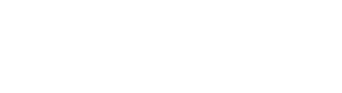 FAUD Consulting - Business Management Company